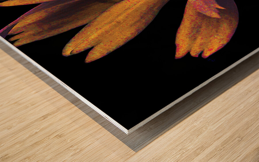 Abstract Daisy in Yellow Blue and Pink Wood print