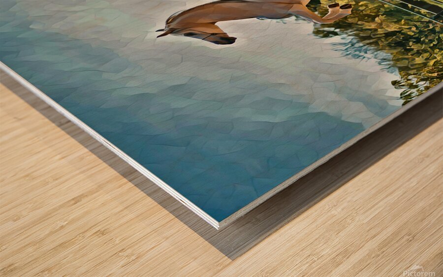 white horse oilpaint 3 Wood print