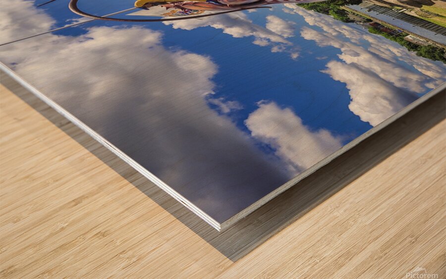 Giant Lobster Wood print