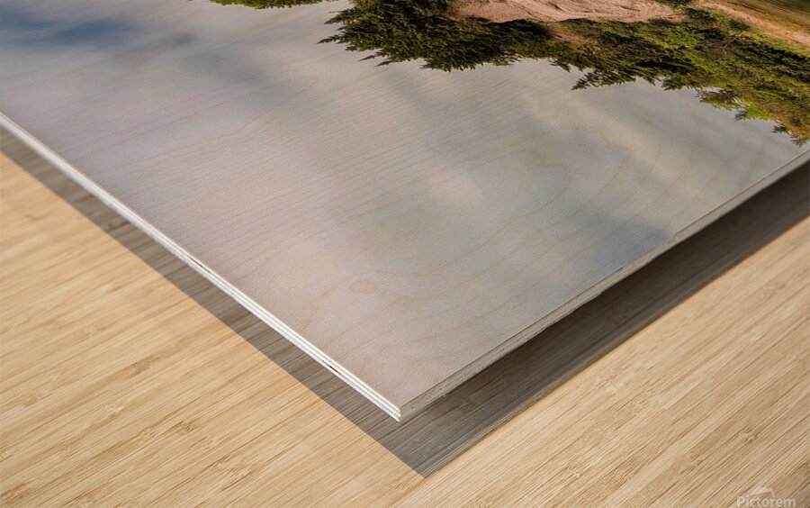 Big Rock by the Sea Wood print