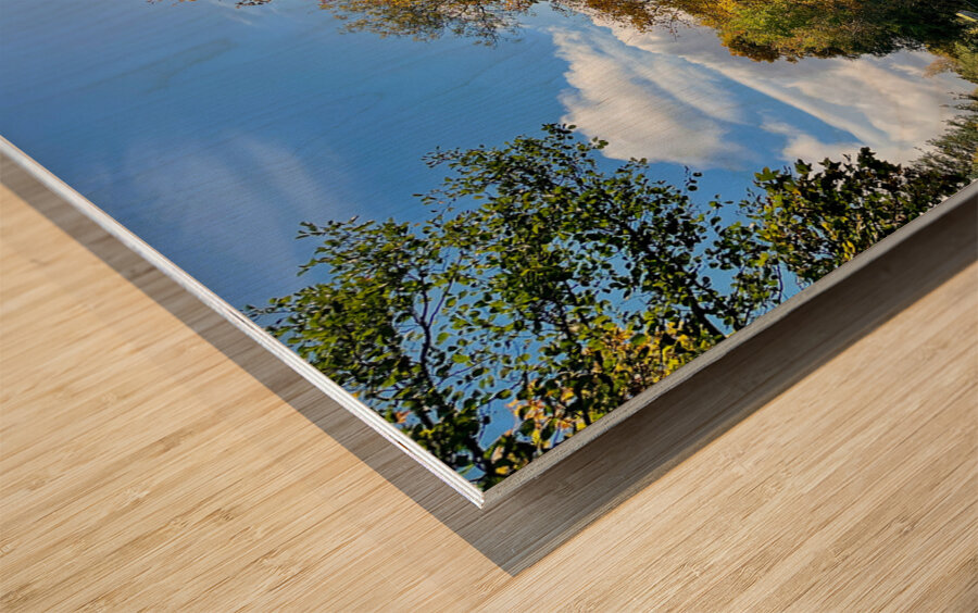 The Winding Autumnal Road in the Scottish Highlands Wood print