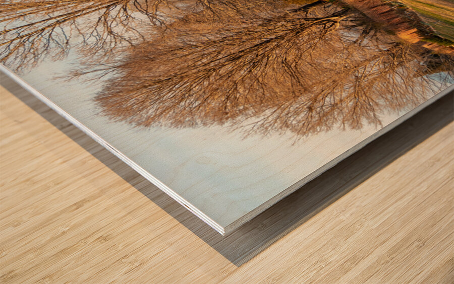 Lynchburg Old City Cemetery Wall Wood print