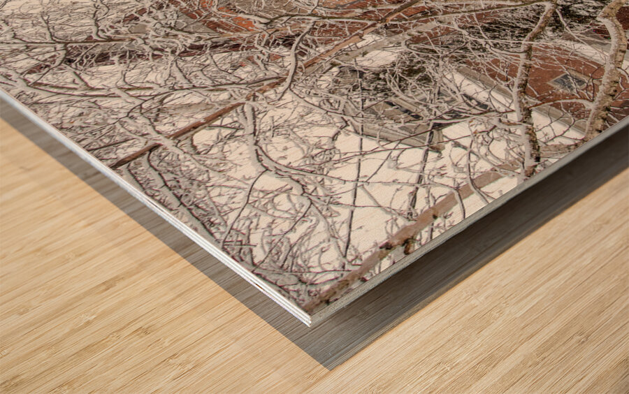 Soft Snowfall in Toronto Wood print