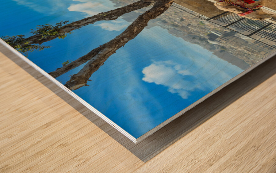 Jerusalem Islamic shrine Dome of the Rock located in the Old City on Temple Mount Wood print