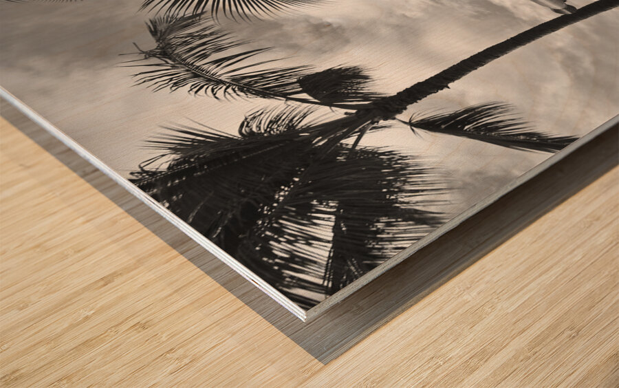 Anti-Aircraft Wood print