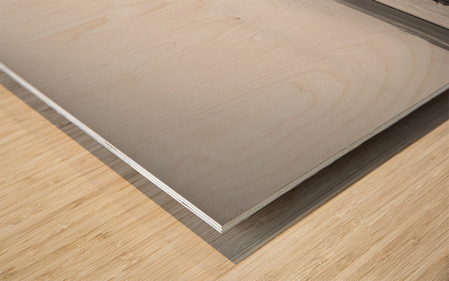 Morning Nelson Haven New Zealand Wood print