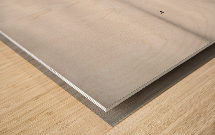 Lake Mapourika Westland NZ Wood print