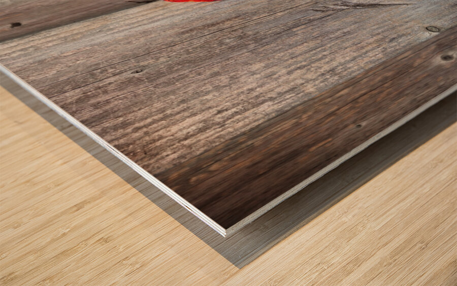 Back on Your Own Side Wood print