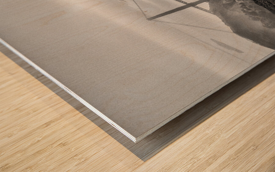 Morning at the Golden Gate Wood print