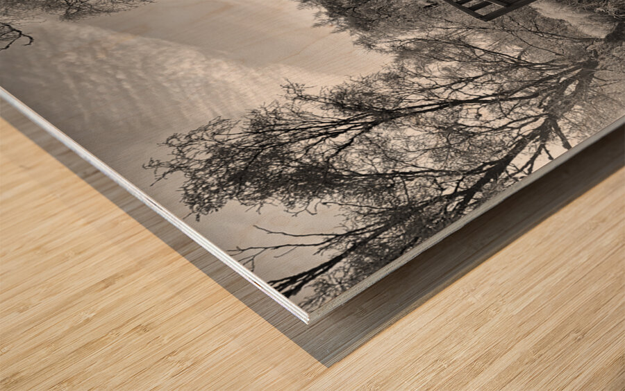 A Frosty Nature Walk Through The Scottish Highlands  Wood print