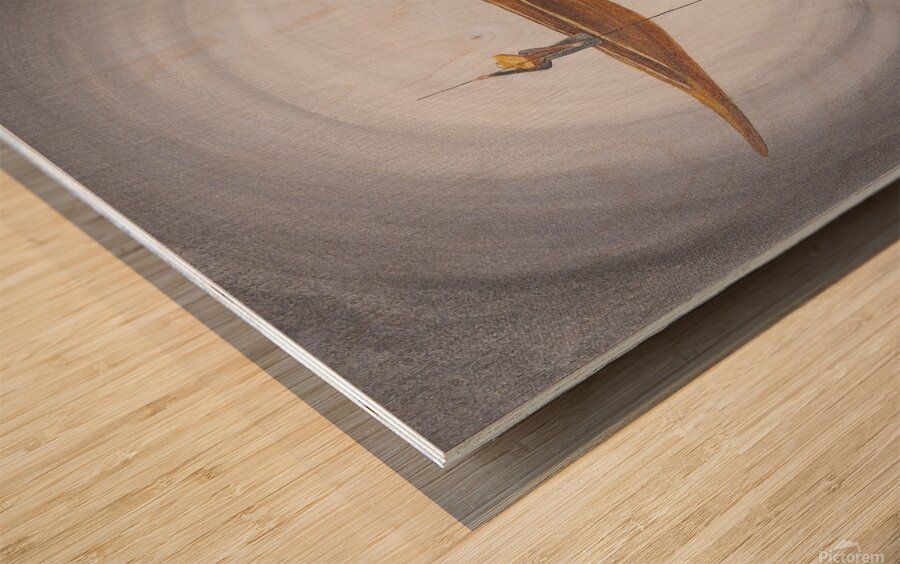 The Man and the Boat Wood print