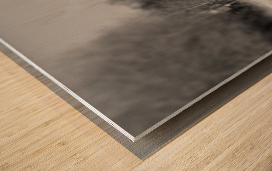 Everyday Lifes Moments- Another Snow Day in the Scottish Highlands Wood print