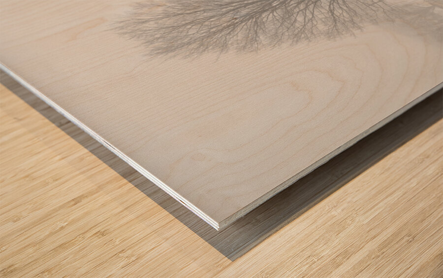 Stick to the Middle of the Road Wood print