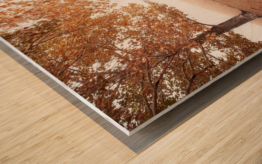 Autumn Landscape 1 Wood print