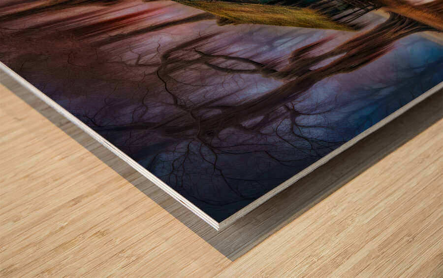 DREAMS FROM MY PAST Wood print