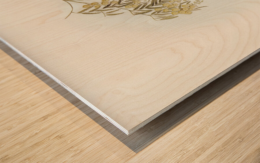 Australian Golden Whistler Wood print