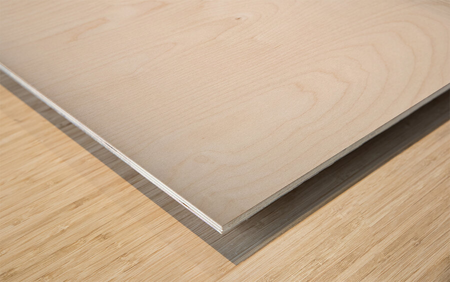 Clevedon Pier North Somerset Wood print