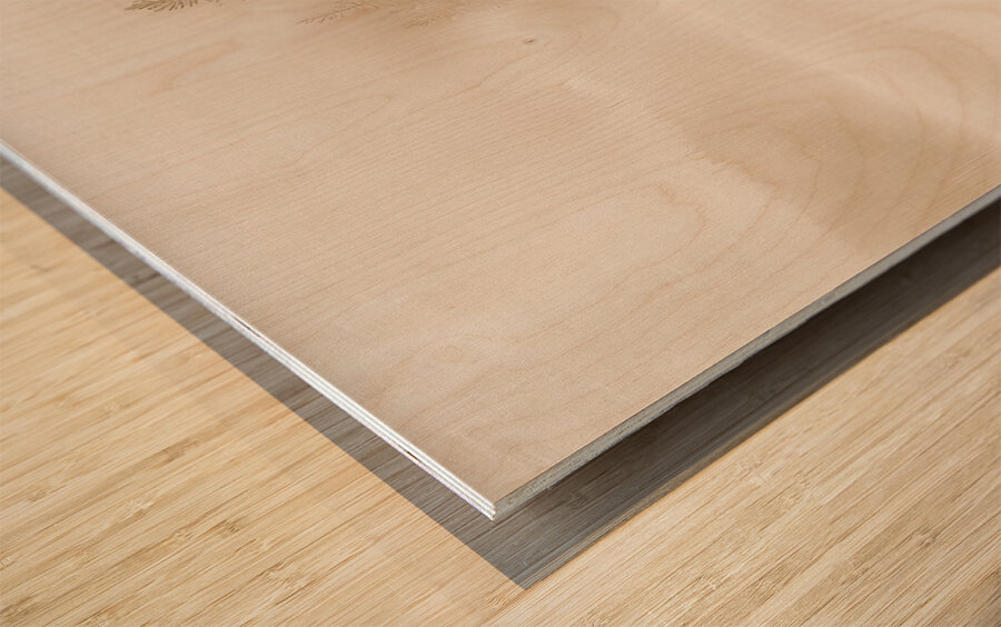 Tranquil Lake and Canoe Sepia Wood print