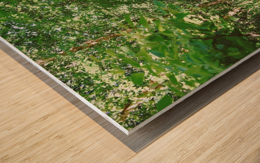 Trail Bridge - 9 Mile Run Wood print