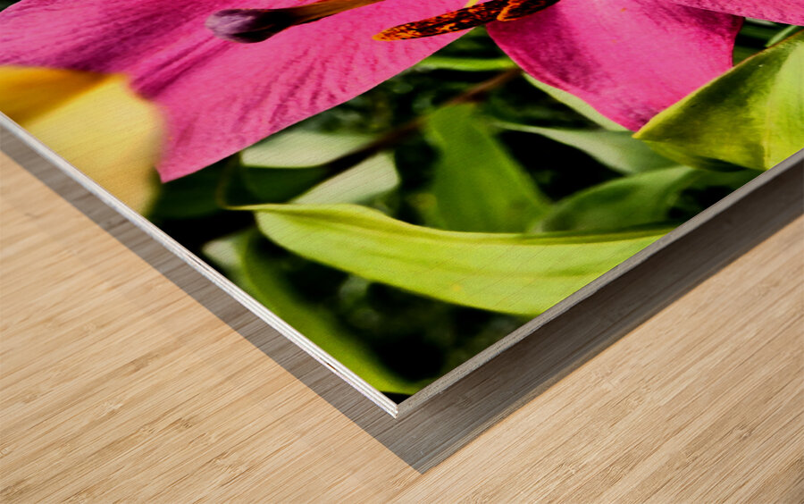 Vibrant Lily Wood print