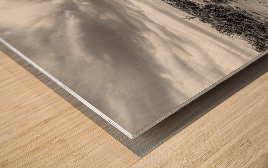 Mesa Arch Hiking Trail Grayscale Wood print