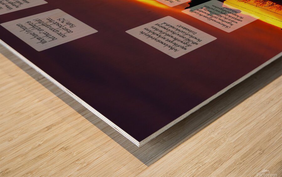 MNW11-HORSES Wood print