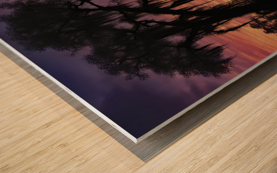 FISHING ON THE BAYOU Wood print