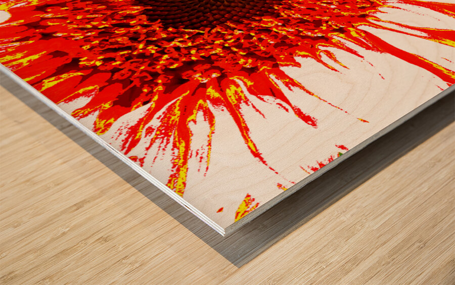 Abstract Vibrant Red Sunflower Wood print