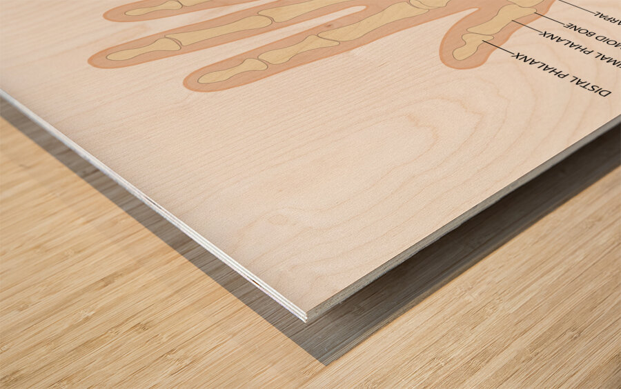 Human hand anatomy  Wood print