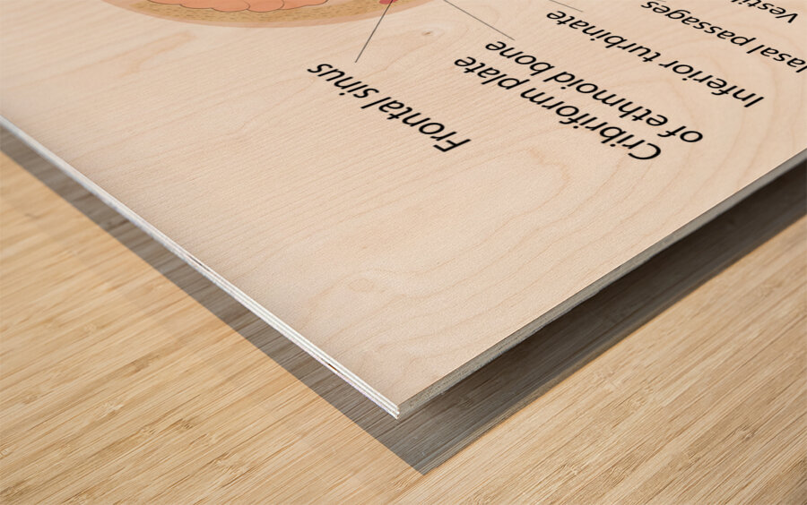 Anatomy of human brain and noise Wood print