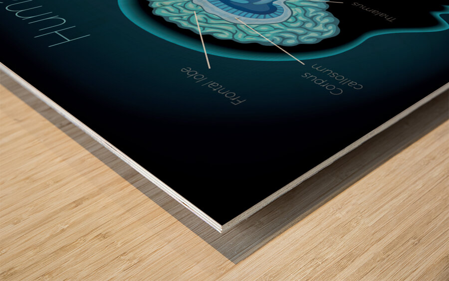 Human Brain Wood print