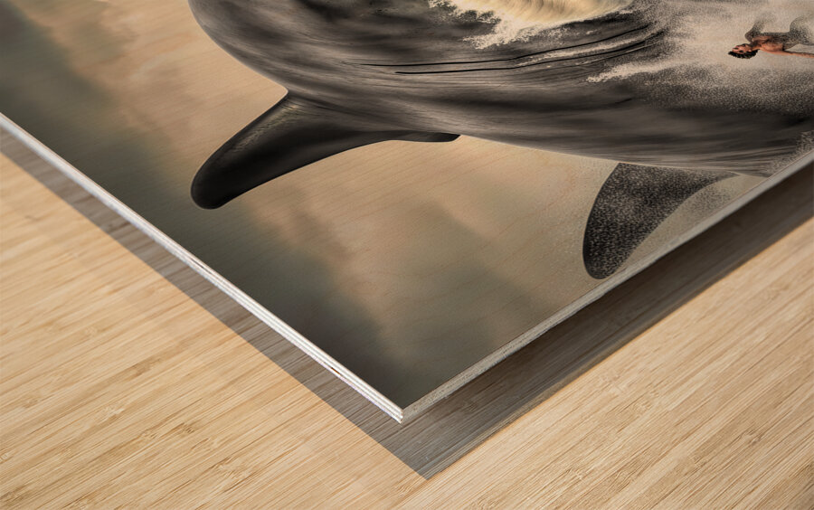 GREAT WHITE VAMPIRE.  SELECTIVE COLOR Wood print