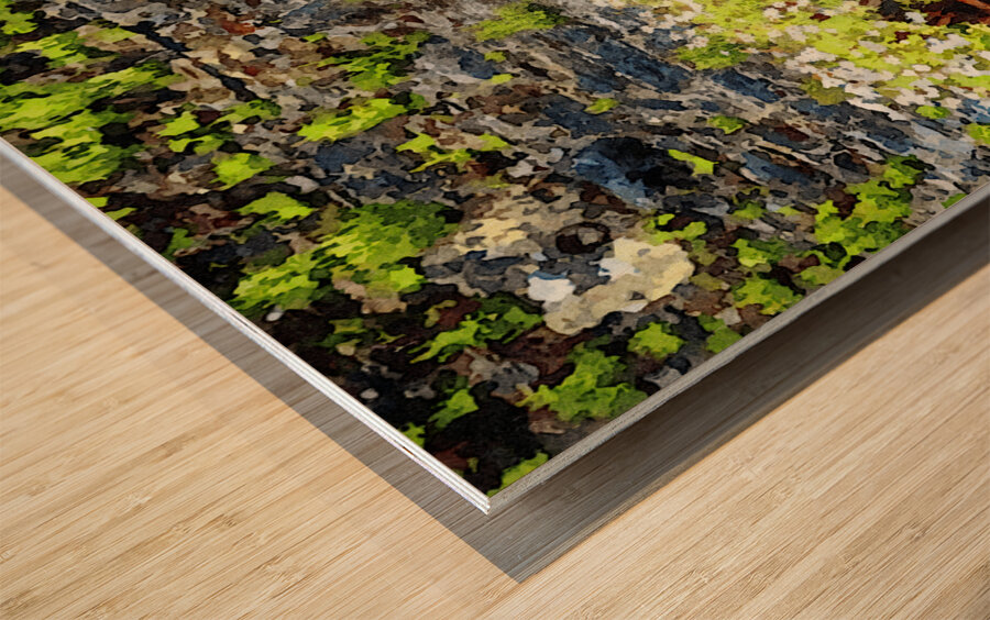 Rustic garden scene with wooden chairs and vibrant flowers Wood print