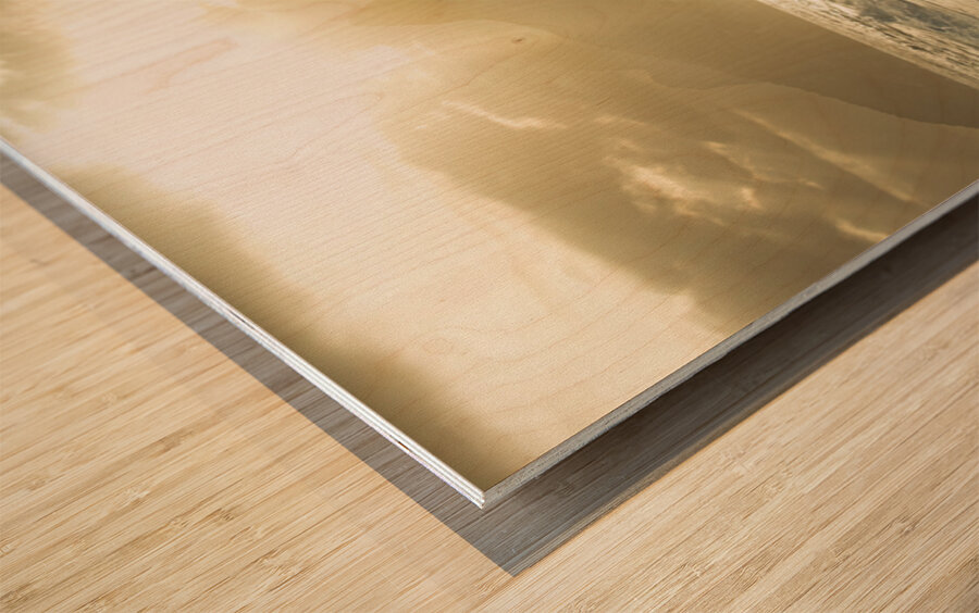 People enjoying dramatic sunset at Ipanema Beach in Rio de Janeiro  Wood print