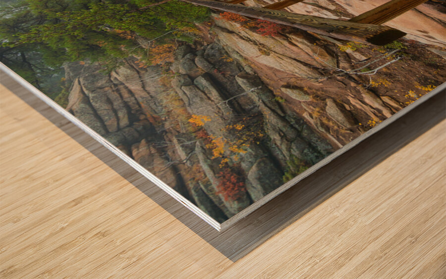 Rustic Wood Hiking Bridge Crossing Wood print