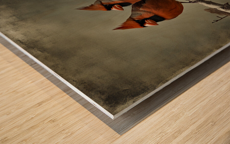 CARDINALS  4 Wood print