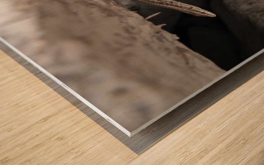 A.P.Polo - Pyrenees Wood print