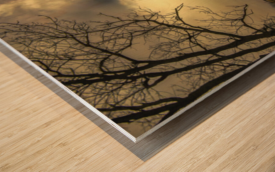 Virginia Barn Survivor Wood print