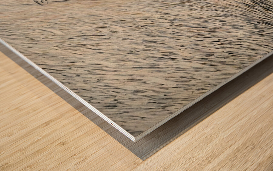 The Photo Album Wood print