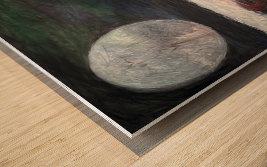 Reflection  Le reflet Wood print