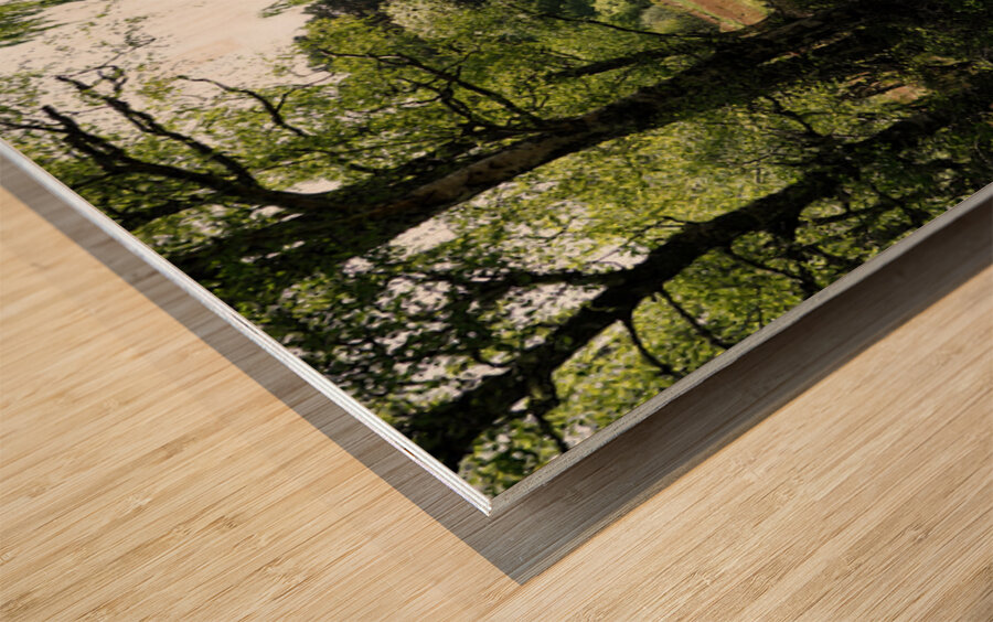 Scottish Highlands Spring                                                                                                        Wood print