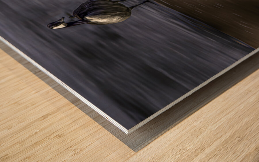 10886 Canada s  Goose Reflects Wood print