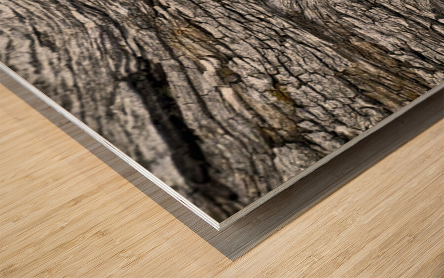 Waterfalls Wood print