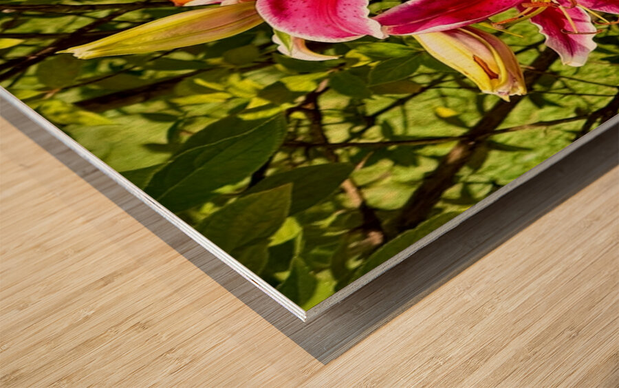 Nancys Day Lily Wood print