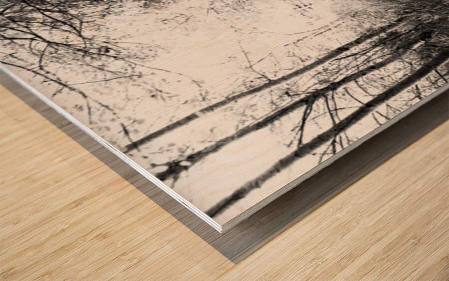 Black and White Walk through the Scottish Highlands                                                                                                                     Wood print