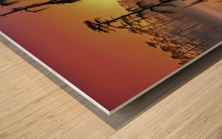 LETS PARK HERE Wood print