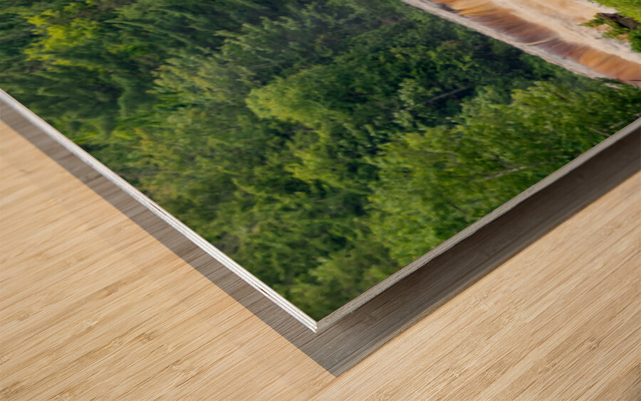 Tahquamenon Falls After Rain Wood print