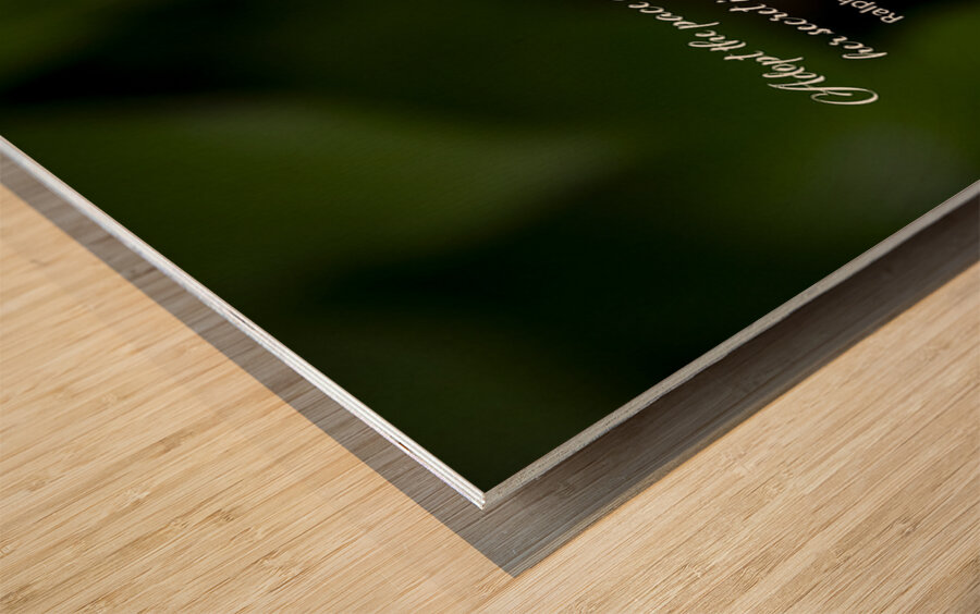 Adopt Patience Wood print