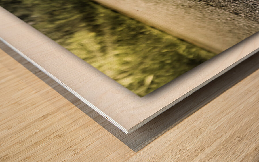 Rise through the Impossible Impression sur bois