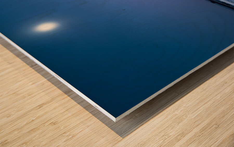 Christmas on the Beach in Ocean Beach San Diego  Wood print